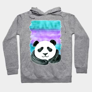 Lazy Panda on Mint & Violet Hoodie